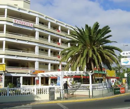 Teneguia Playa del Inglés